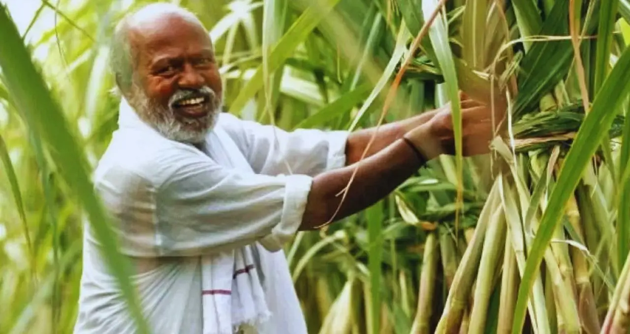 हरियाणा में गन्ना किसानों को आधुनिक खेती पर Subsidy, कृषि यंत्रों के लिए 30 सितंबर तक करें आवेदन