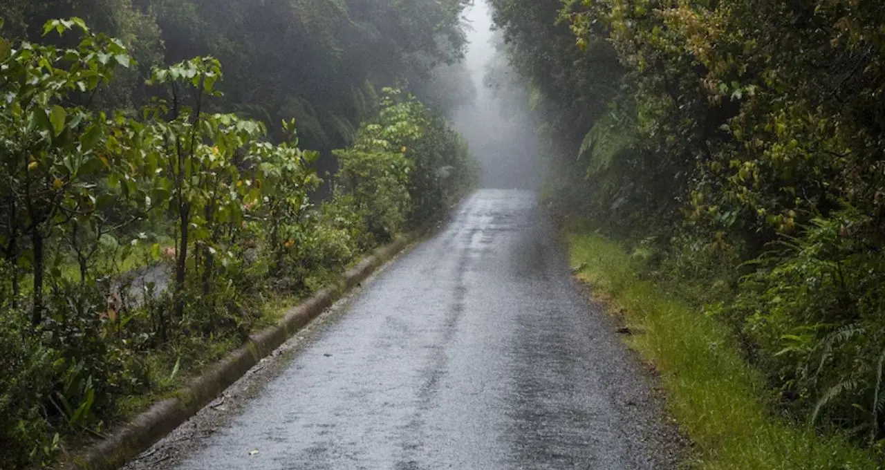 North Bengal Weather Update: উত্তরবঙ্গে ফের দুর্যোগের ভ্রুকুটি! ভারী বৃষ্টি, পাহাড়ে ধসের আশঙ্কা—আগামী ৪৮ ঘণ্টায় কী পরিস্থিতি?
