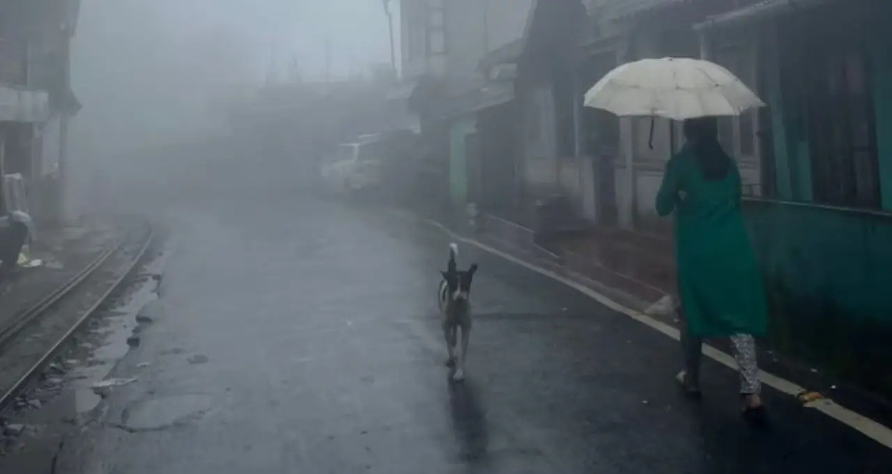 North Bengal Weather Update: উত্তরবঙ্গে ফের দুর্যোগের ভ্রুকুটি! ভারী বৃষ্টি, পাহাড়ে ধসের আশঙ্কা—আগামী ৪৮ ঘণ্টায় কী পরিস্থিতি?
