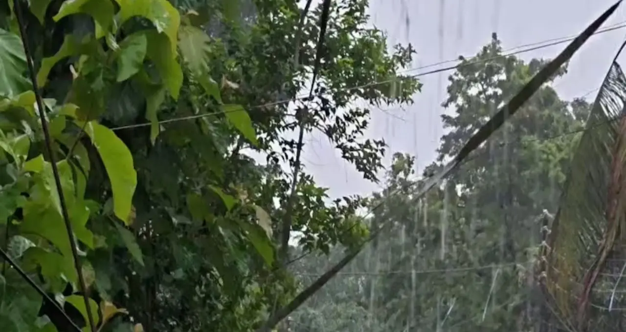 IMD Weather Update: উত্তরবঙ্গে কাটছে না দুর্যোগের রেশ! জলপাইগুড়ি-আলিপুরদুয়ারে অতিভারী বৃষ্টির কমলা সতর্কতা, সপ্তাহান্তেও ভারী বর্ষণ
