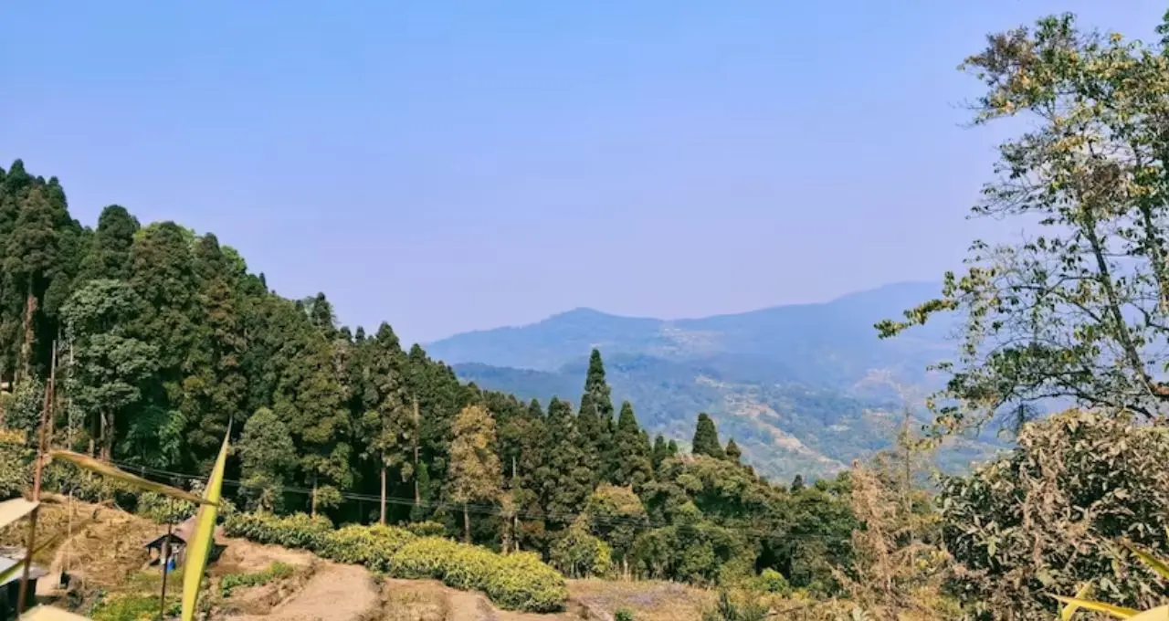 North Bengal Offbeat Destination: চোখ খুললেই কাঞ্চনজঙ্ঘা, চারপাশে পাইন-অর্কিডের মায়া! পুজোয় ভিড় এড়িয়ে ঘুরে আসুন কালিম্পংয়ের শান্ত পাবং
