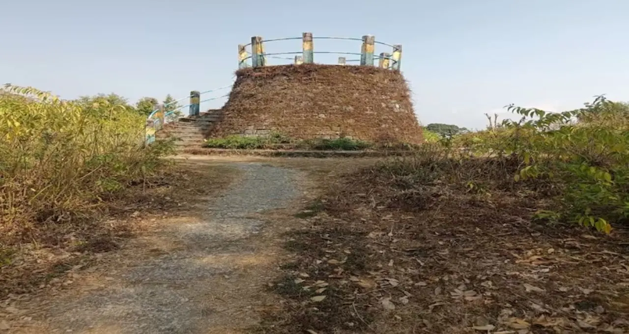North Bengal Offbeat Destination: চোখ খুললেই কাঞ্চনজঙ্ঘা, চারপাশে পাইন-অর্কিডের মায়া! পুজোয় ভিড় এড়িয়ে ঘুরে আসুন কালিম্পংয়ের শান্ত পাবং
