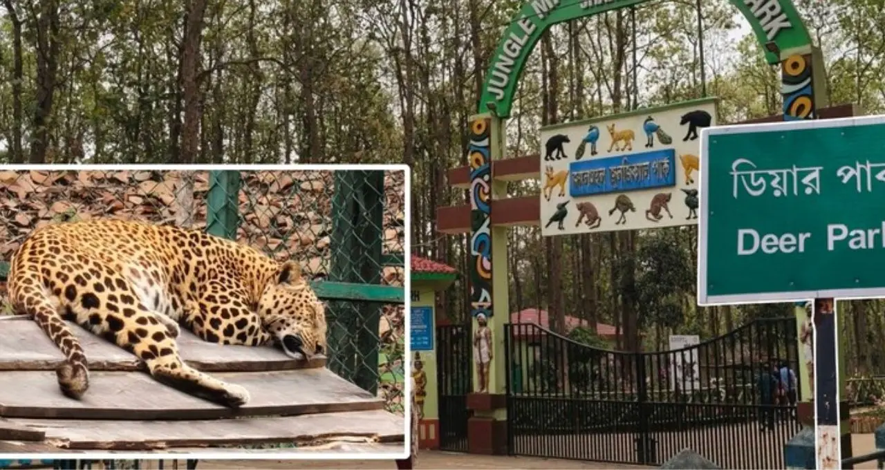 Weekend Destination: জঙ্গলের পথে হাতির দেখা, ঝরনার জলধারা, ইতিহাসের রহস্য—কলকাতার কাছেই এই ২ জেলায় পুজোয় ঘুরে আসুন