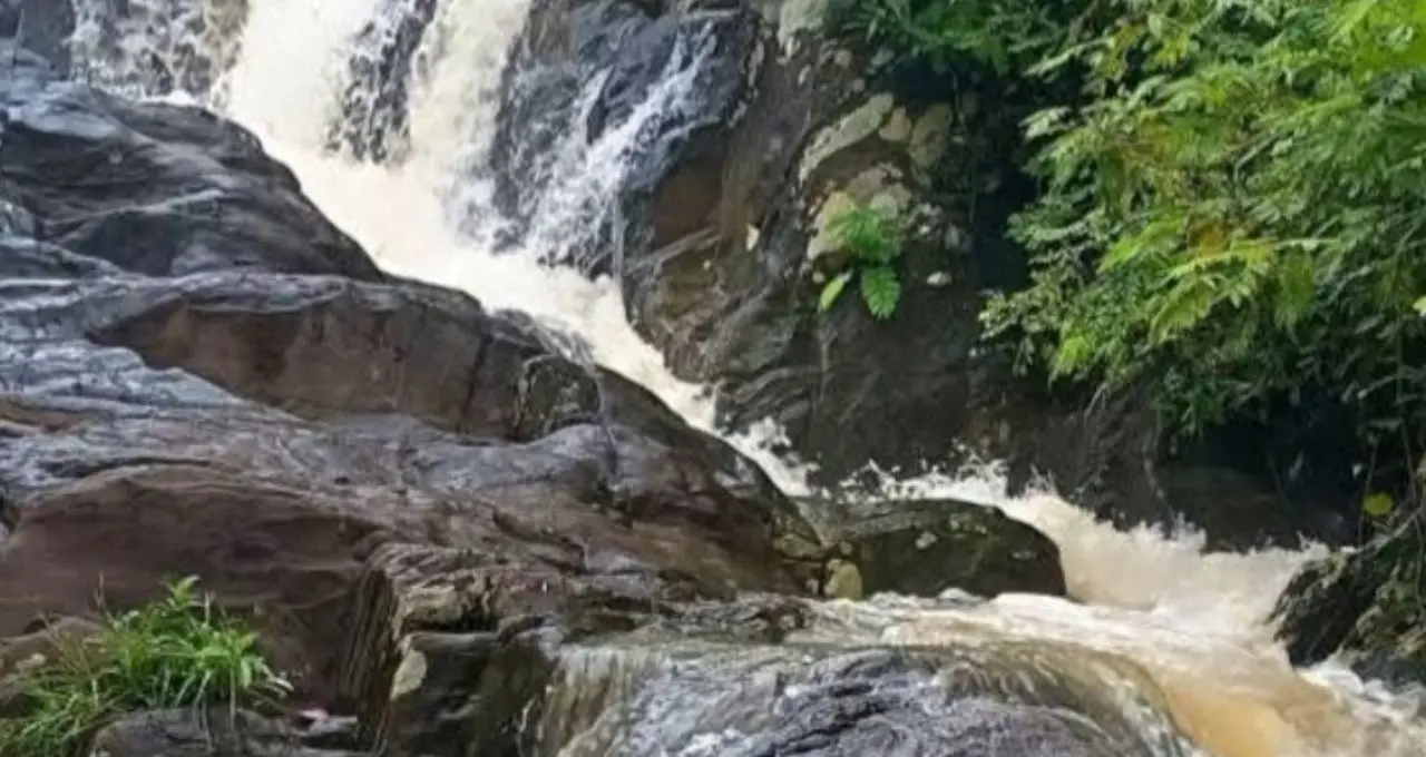 Weekend Destination: জঙ্গলের পথে হাতির দেখা, ঝরনার জলধারা, ইতিহাসের রহস্য—কলকাতার কাছেই এই ২ জেলায় পুজোয় ঘুরে আসুন