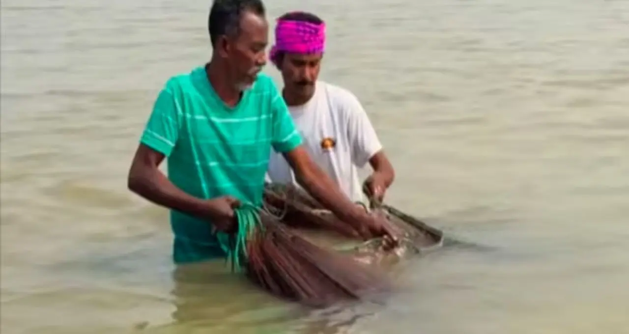 Sundarban Native Fish Crisis: সুন্দরবনের নদী-খাঁড়িতে উধাও দেশি মাছ! চাঁদা আমলেট থেকে পাথরকাটা, হারিয়ে যাওয়ার পথে চেনা স্বাদ
