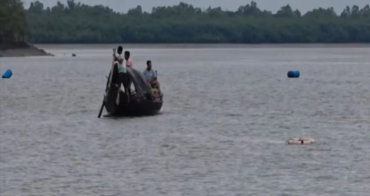 Sundarban Native Fish Crisis: সুন্দরবনের নদী-খাঁড়িতে উধাও দেশি মাছ! চাঁদা আমলেট থেকে পাথরকাটা, হারিয়ে যাওয়ার পথে চেনা স্বাদ
