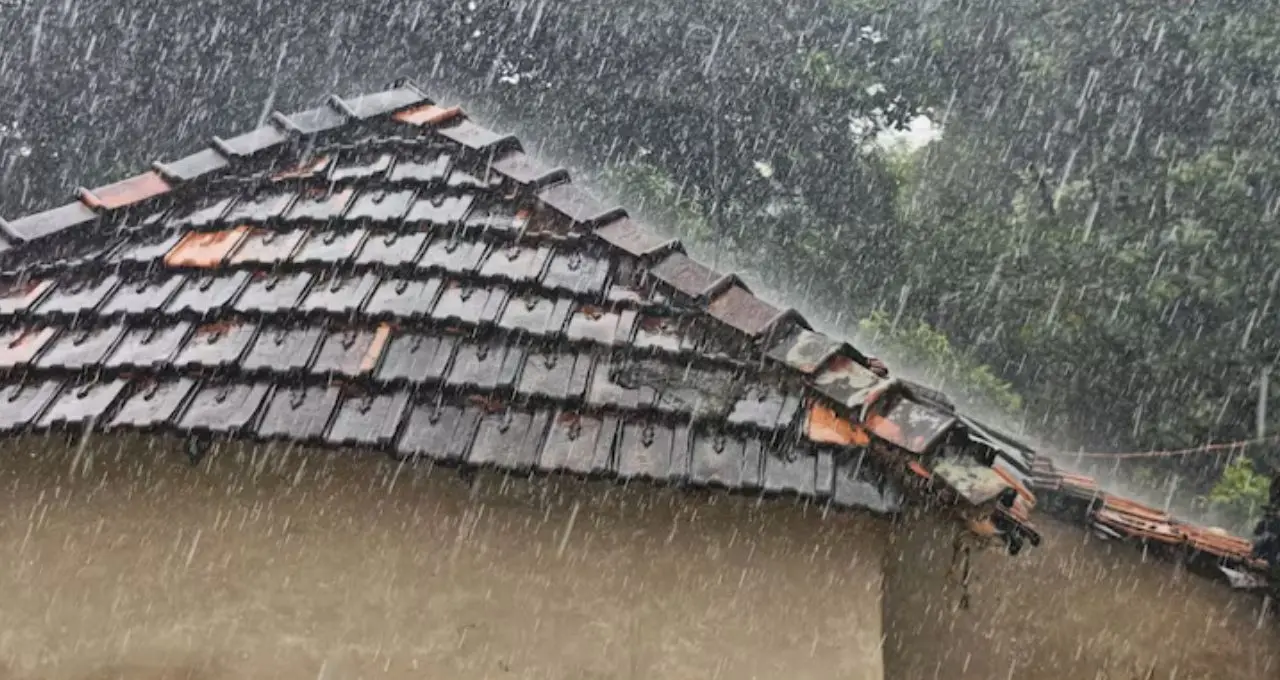 IMD Thunderstorm Alert: কালো মেঘে ঢাকল আকাশ! ৪০ কিমি বেগে ঝোড়ো হাওয়া, বজ্রবিদ্যুৎসহ বৃষ্টির দাপট কোন কোন জেলায়?
