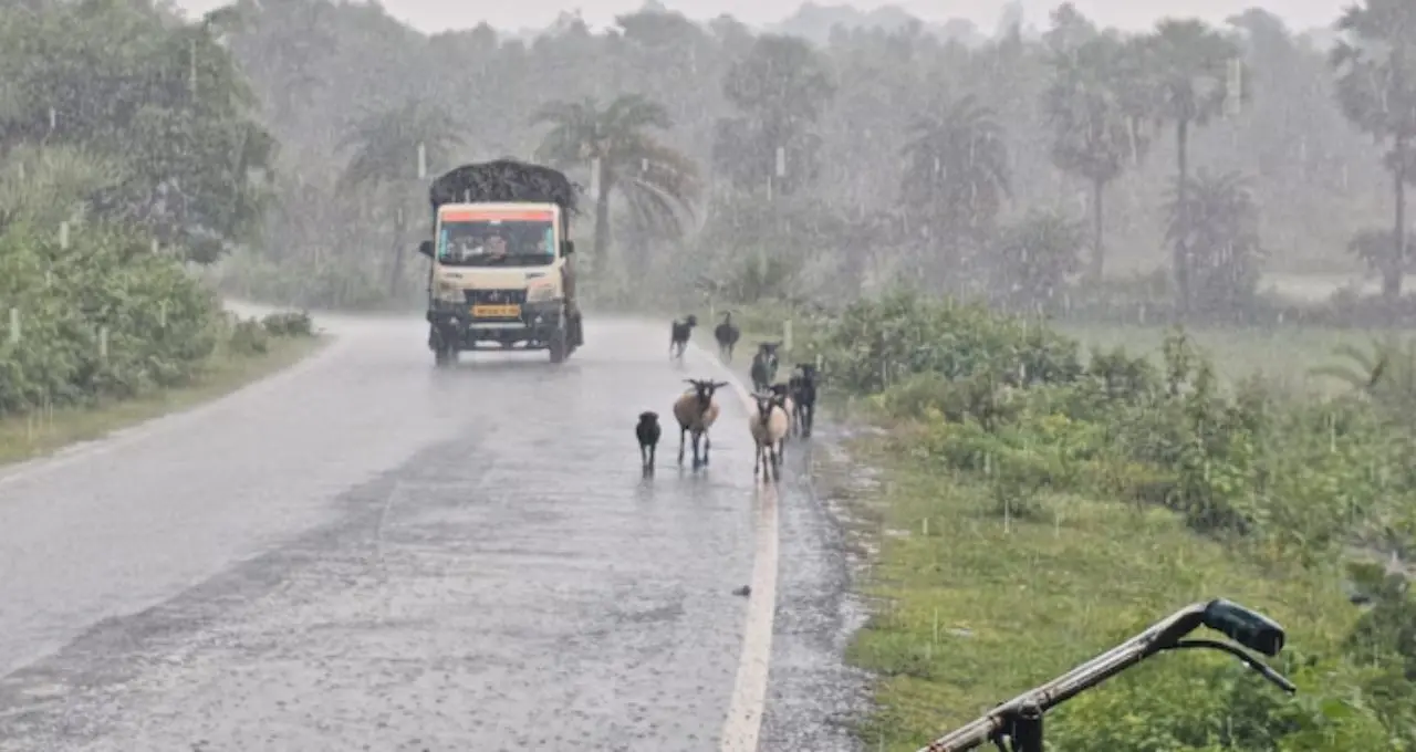 IMD Thunderstorm Alert: কালো মেঘে ঢাকল আকাশ! ৪০ কিমি বেগে ঝোড়ো হাওয়া, বজ্রবিদ্যুৎসহ বৃষ্টির দাপট কোন কোন জেলায়?
