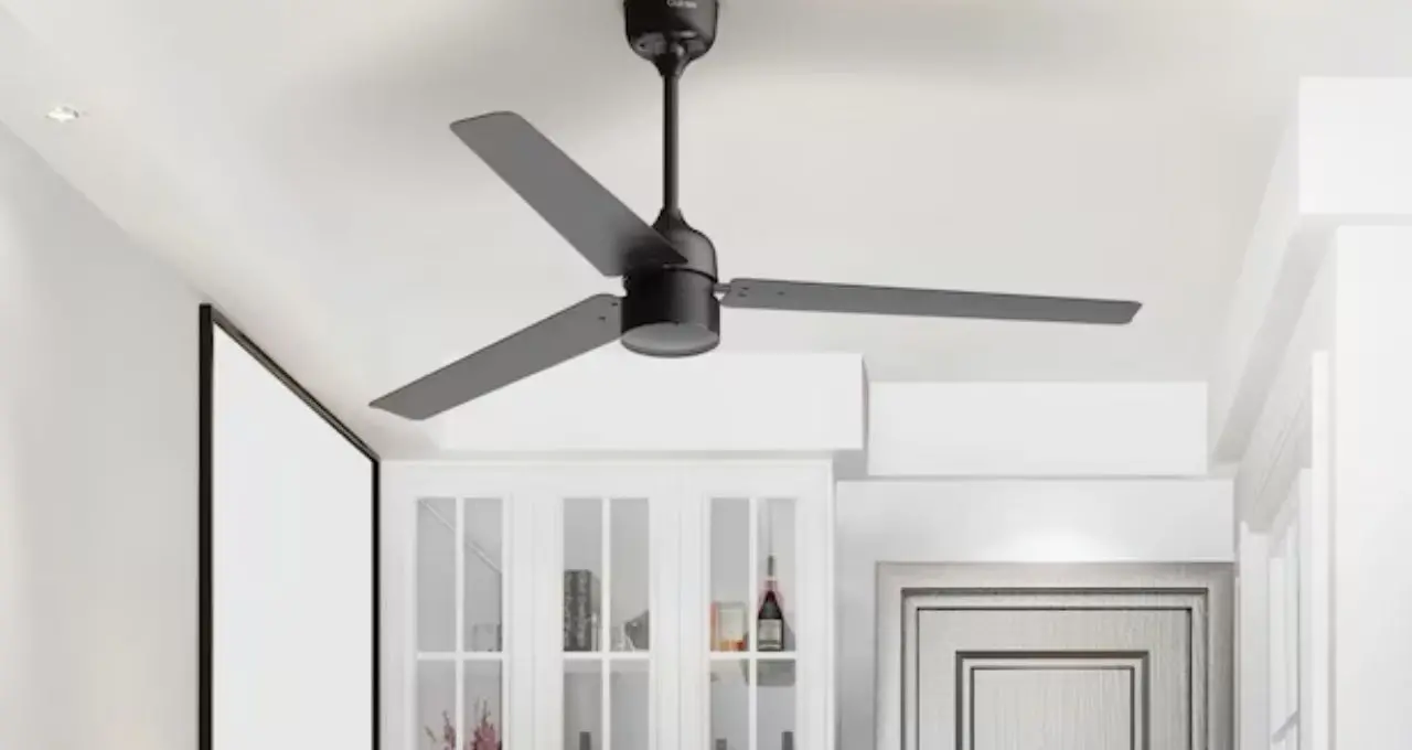 BLDC Ceiling Fan: BLDC নাকি সাধারণ ফ্যান? ৩ ব্লেড না ৪ ব্লেড—ঘরের জন্য কোনটা সেরা, কেনার আগে জেনে নিন

