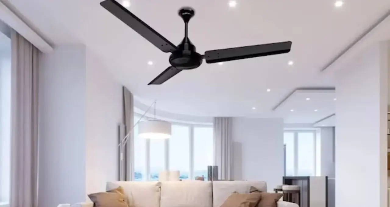 BLDC Ceiling Fan: BLDC নাকি সাধারণ ফ্যান? ৩ ব্লেড না ৪ ব্লেড—ঘরের জন্য কোনটা সেরা, কেনার আগে জেনে নিন
