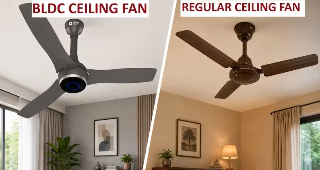 BLDC Ceiling Fan: BLDC নাকি সাধারণ ফ্যান? ৩ ব্লেড না ৪ ব্লেড—ঘরের জন্য কোনটা সেরা, কেনার আগে জেনে নিন

