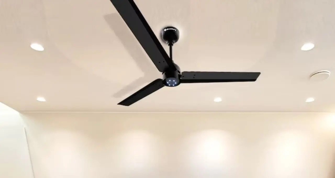 BLDC Ceiling Fan: BLDC নাকি সাধারণ ফ্যান? ৩ ব্লেড না ৪ ব্লেড—ঘরের জন্য কোনটা সেরা, কেনার আগে জেনে নিন
