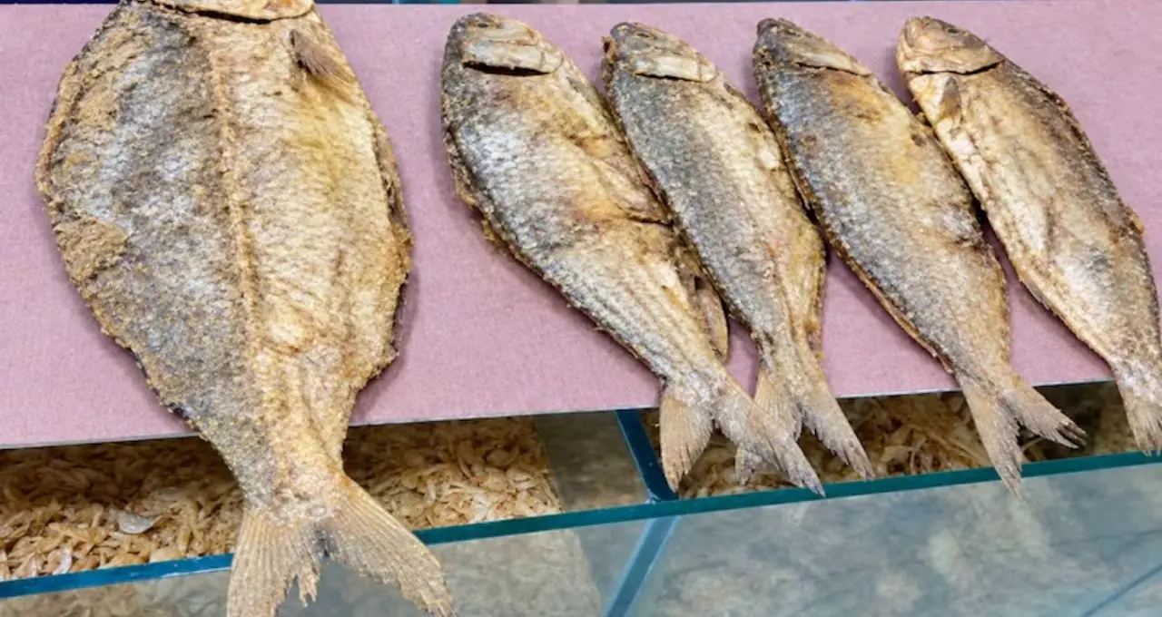 Dried Hilsa: বর্ষা শেষ হলেও ইলিশের স্বাদ! ইলিশ শুঁটকি কীভাবে সংরক্ষণ করবেন, জানুন