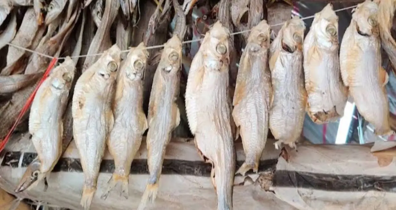 Dried Hilsa: বর্ষা শেষ হলেও ইলিশের স্বাদ! ইলিশ শুঁটকি কীভাবে সংরক্ষণ করবেন, জানুন