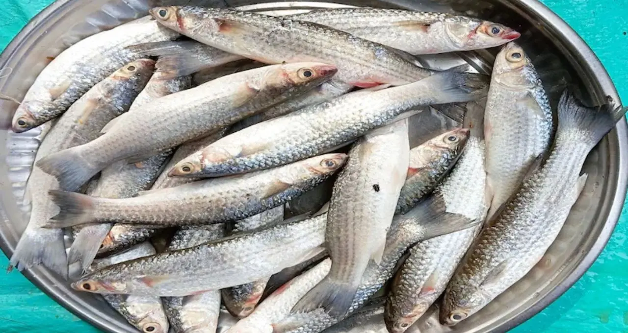 Fish Tips: পার্শে মাছে Omega-3, Vitamin B6! স্বাদে দুর্দান্ত এই মাছের পুষ্টিগুণ জানলে বাজারে আর মিস করবেন না
