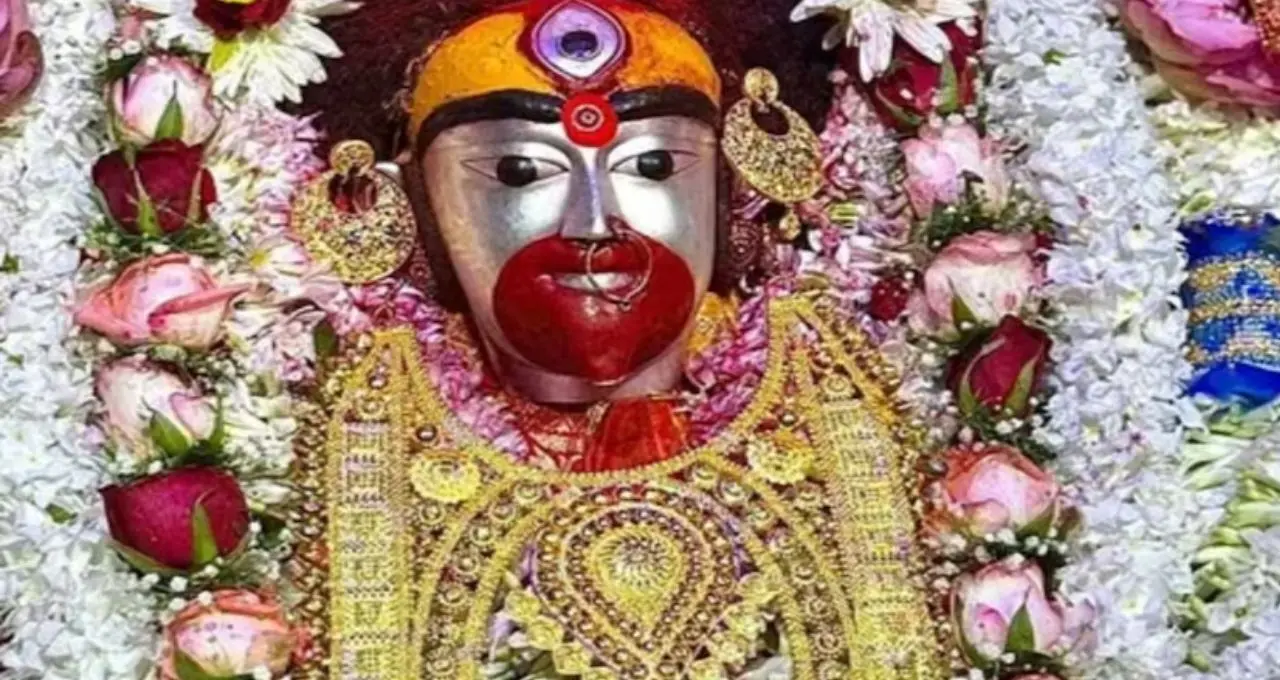 Kaushiki Amavasya 2026: কৌশিকী অমাবস্যায় কোন কাজ এড়াবেন? আর্থিক অনটন কাটাতে কী করবেন, জানুন
