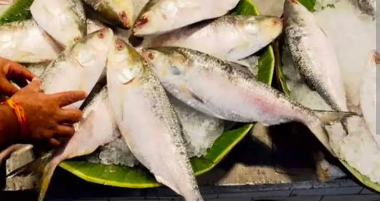 Monsoon Fish: বর্ষায় শুধু ইলিশ নয়, পাতে কই-ট্যাংরা-পাবদার কদরও তুঙ্গে! কোন কোন দেশি মাছ পছন্দ বাঙালির?
