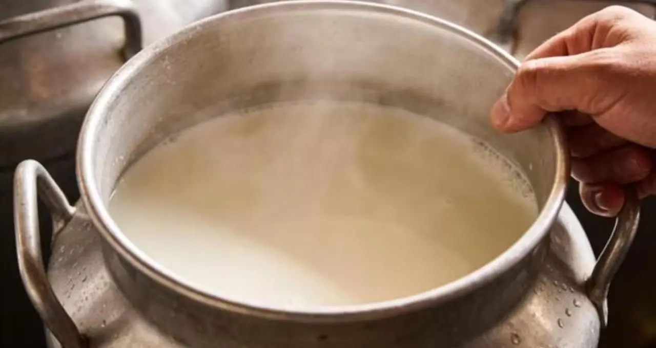 Milk Quality Check: দুধে ভেজাল আছে কি না বুঝবেন কীভাবে? ঘরেই করুন ৫টি সহজ পরীক্ষা, তবে থাকছে জরুরি সতর্কতা
