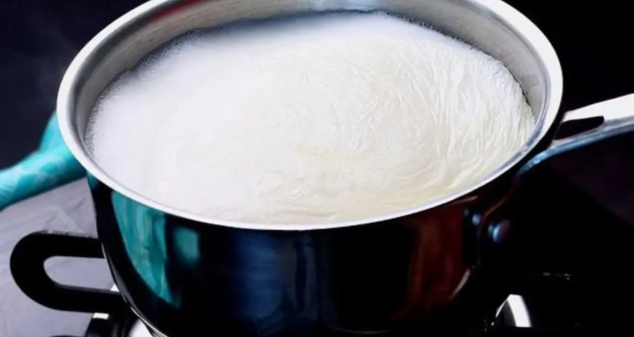 Milk Quality Check: দুধে ভেজাল আছে কি না বুঝবেন কীভাবে? ঘরেই করুন ৫টি সহজ পরীক্ষা, তবে থাকছে জরুরি সতর্কতা
