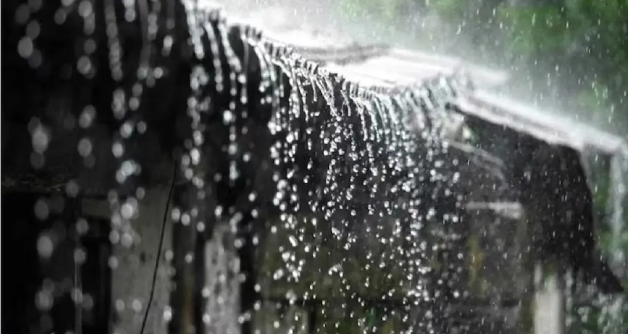IMD Weather Update: রবিবার পর্যন্ত উপকূলের জেলায় বৃষ্টি-ঝড়ের সতর্কতা, সোমবার থেকেই বদলাবে আবহাওয়া! বাড়বে ভ্যাপসা গরম
