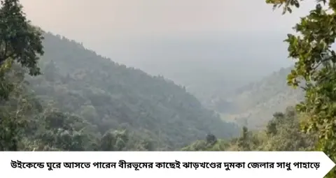 Mini Darjeeling: বীরভূমের কাছেই ‘মিনি দার্জিলিং’! মাত্র ৪৫ কিমি দূরে পাহাড়, কুয়াশা আর ঠান্ডার আমেজ—উইকেন্ডে ঘুরে আসুন সাধু পাহাড়
