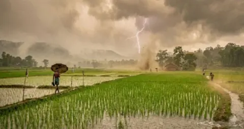 छत्तीसगढ़ में 2-3 दिन में मानसून की विदाई के आसार, बारिश थमी तो बढ़ा तापमान