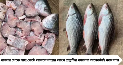 পোনা মাছ কাটতে গিয়ে নাজেহাল? বঁটি ছাড়াই কয়েক মিনিটে ঝরঝরে আঁশ ছাড়িয়ে রুই-মৃগেল-বাটা কাটুন, রইল সহজ কৌশল
