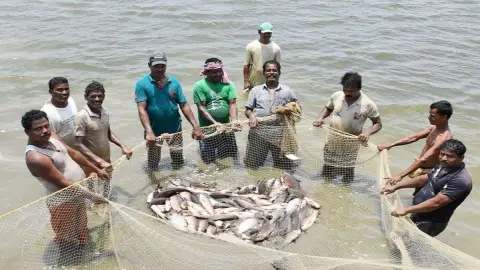 বিহারে কাফেডের বিরুদ্ধে ১৪ লাখ মৎস্যজীবীর কাছ থেকে ১৪ কোটি টাকা আদায়ের অভিযোগ