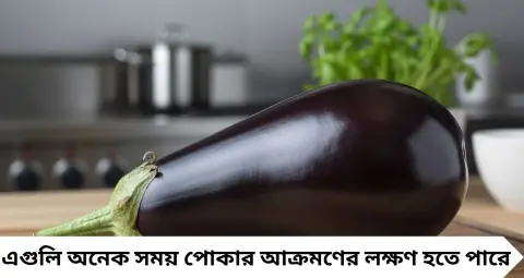 Brinjal Buying Tips: শুধু চকচকে দেখেই বেগুন কিনবেন না! গায়ে ‘এই’ চিহ্ন দেখলেই সাবধান, পোকা ধরেছে কি না বুঝবেন যেভাবে
