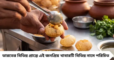 Phuchka Capital of India: কলকাতা নয়, ভারতের ‘ফুচকা রাজধানী’ কোন শহর? দিনে বিক্রি হয় প্রায় ২৫ লক্ষ প্লেট! জানলে অবাক হবেন
