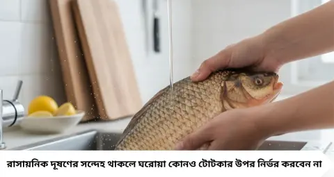 Fish Cleaning Tips: মাছের আঁশটে গন্ধ দূর করতে কী ব্যবহার করবেন? লেবু, নুন থেকে হলুদ—জেনে নিন পরিষ্কারের সঠিক পদ্ধতি
