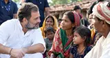 राहुल गांधी का मध्य प्रदेश पर फोकस बढ़ा, 12 दिन में दो दौरे, आदिवासी मुद्दों पर सक्रियता बढ़ी
