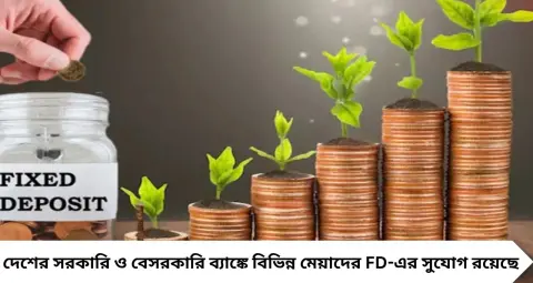 FDs Of Top 5 Banks: ১০ হাজার টাকা এক বছরের FD-তে রাখলে কত হবে? সিনিয়র সিটিজেনদের জন্য কোন ব্যাঙ্কে রিটার্ন বেশি