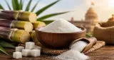 Sugar Price: दिवाली से पहले चीनी की कीमतों में राहत, सरकार ने डीलरों के लिए बदले स्टॉक नियम