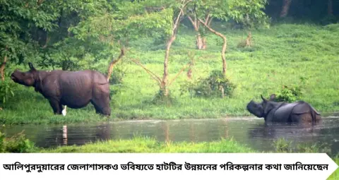 Dooars Tourism: বোরোলির চচ্চড়ি থেকে রঙিন শাড়ি, শাল-গয়না! পুজোয় ডুয়ার্সে নতুন আকর্ষণ ‘জঙ্গলের হাট’
