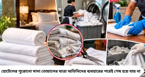 হোটেলের পুরোনো সাদা তোয়ালে কোথায় যায়? ফেলে দেওয়া হয় না, জানলে অবাক হবেন কী কাজে লাগে!
