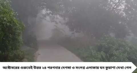 Winter 2026: অক্টোবরের শুরুতেই ঘন কুয়াশার চাদর দেগঙ্গায়! ভোরে কয়েক মিটার দূরের রাস্তাও অস্পষ্ট, তবে কি আগাম শীতের ইঙ্গিত?

