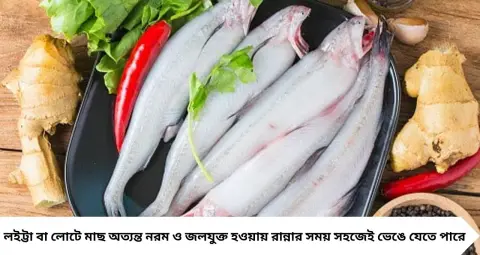 লইট্টা মাছ রান্না করলেই গলে দলা পাকায়? এই কৌশলে পরিষ্কার করুন, আর ভেঙে যাবে না মাছ
