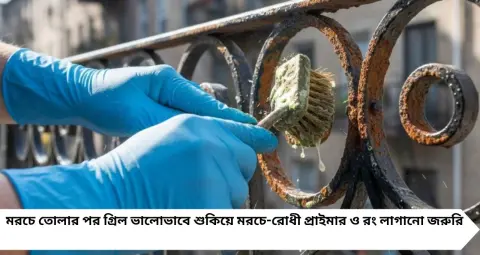 Morche Cleaning Tips: বছরের পর বছর জমে থাকা লোহার গ্রিলের জেদি মরচে ও কালো ময়লা হবে পরিষ্কার! ঘরের এই সহজ উপায়েই ফিরবে ঝকঝকে চেহারা
