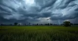 Weather Today: देश के 17 राज्यों में बारिश का अलर्ट, बिहार-झारखंड में 60 किमी की रफ्तार से चलेंगी हवाएं
