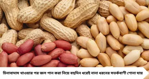 চিনাবাদাম খাওয়ার পরই জল পান করেন? শরীরের বড় ক্ষতি নাকি নিছক ভুল ধারণা, জানুন আসল সত্য
