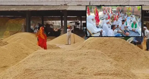 हरियाणा में धान खरीद को लेकर किसानों का प्रदर्शन, जींद में जाम, अंबाला मंडियों में बढ़ी पुलिस निगरानी