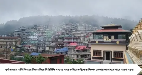 Offbeat Hill Station: পাইনবনে মেঘ-কুয়াশার লুকোচুরি! কাঞ্চনজঙ্ঘার রূপ দেখতে পুজোয় ঘুরে আসুন কালিম্পংয়ের এই পাহাড়ি ঠিকানায়
