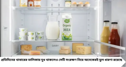 Milk Storing Tips: ফ্রিজে রেখেও কেন নষ্ট হচ্ছে দুধ? এই ভুল এড়িয়ে চলুন, ৫ লক্ষণে বুঝুন দুধ পচে গিয়েছে কি না
