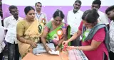 চার রাজ্যের ছয় আসনে উপনির্বাচনের গণনা শুরু, তামিলনাড়ুতে এগিয়ে TVK