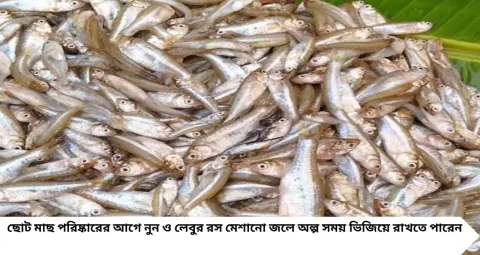 পুঁটি-মৌরলা-চাঁদা মাছের আঁশ ছাড়াতে আর ঘণ্টার পর ঘণ্টা নয়! বাড়ির এই জিনিসগুলি দিয়েই সহজ হবে পরিষ্কারের কাজ
