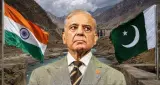 Indus Waters Treaty: पाकिस्तान ने हेग में खर्च किए 60 लाख डॉलर, भारत की फीस भी चुकाने का दावा