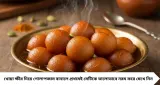 Golapjam Recipe: বাড়িতেই বানান তুলতুলে রসালো গোলাপজাম! ভাজার সময় ভেঙে যাবে না, খোয়া ক্ষীরের মণ্ডে এই কৌশলেই আসবে মিষ্টির দোকানের মতো স্বাদ
