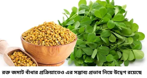 মেথি ভেজানো জল খেলেই কি কমবে ওজন ও সুগার? সাবধান! এই ৭ ধরনের মানুষের হতে পারে সমস্যা
