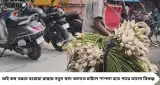 শাপলা আর পুঁটি মাছের যুগলবন্দি, গরম ভাতের সঙ্গে জমে যাবে এই চচ্চড়ি! অল্প উপকরণেই বানান উত্তরবঙ্গের ঘরোয়া পদ
